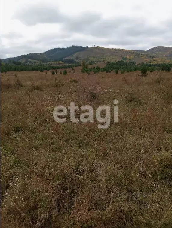 Участок в Бурятия, Кабанский район, с. Оймур  (6.2 сот.) - Фото 2