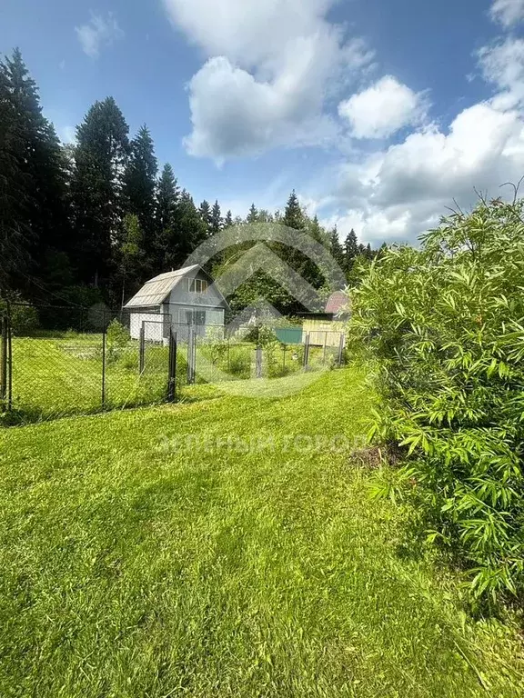 Дача 32 м на участке 5,5 га - Фото 1