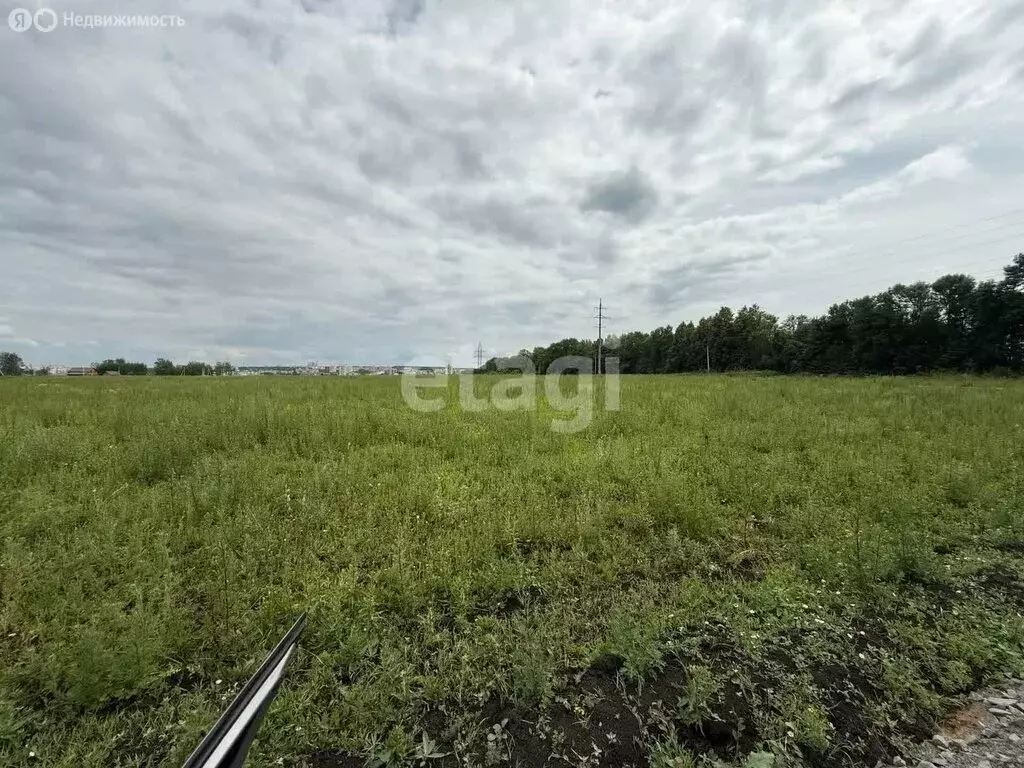 Участок в Лямбирский район, село Берсеневка (7 м) - Фото 0