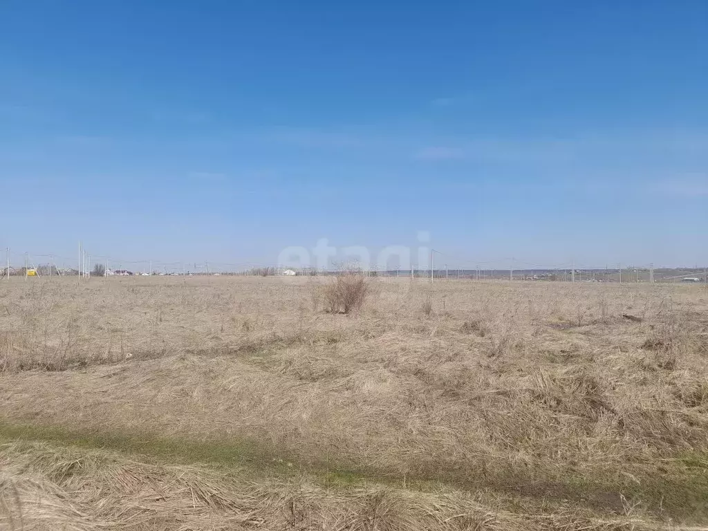 Участок в Саратовская область, Балашовский район, Хоперское ... - Фото 0