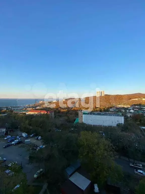 1-к. квартира, 26 м, 8/9 эт. - Фото 1