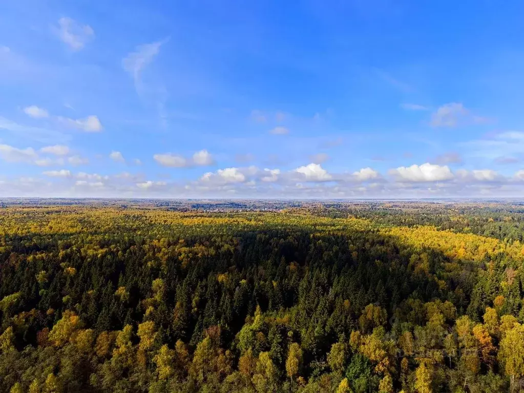 Участок в Московская область, Наро-Фоминский городской округ, д. ... - Фото 1