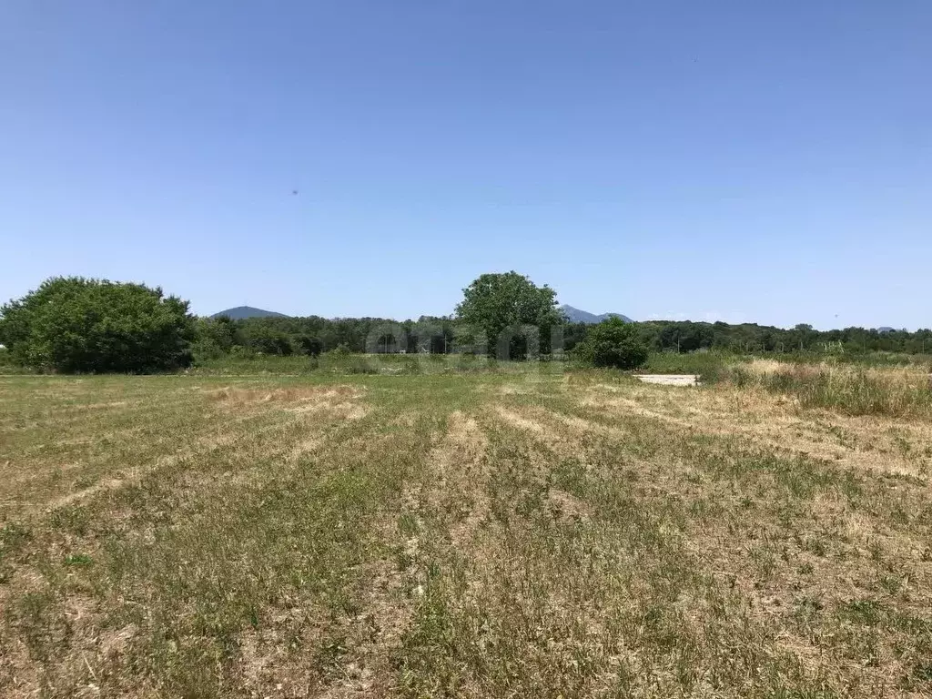 Участок в Ставропольский край, Пятигорск городской округ, пос. ... - Фото 0
