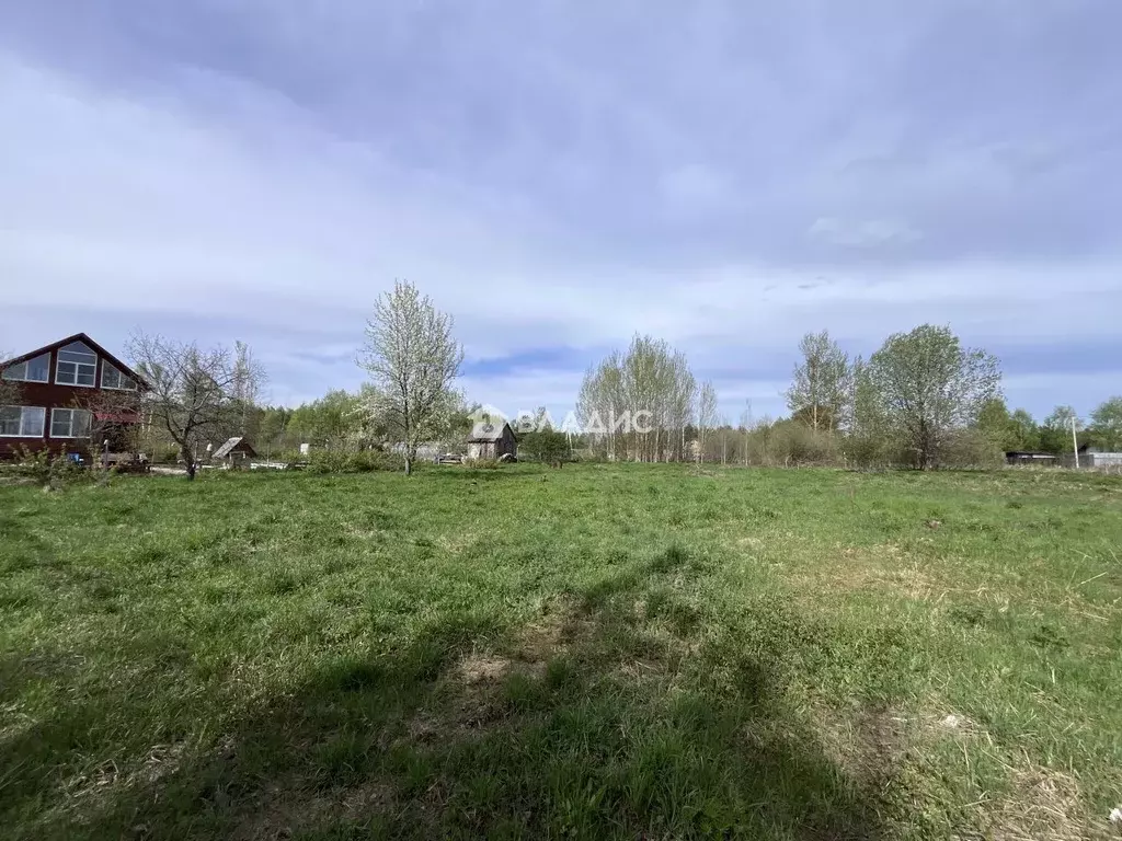 Участок в Владимирская область, Владимир сад Заречье, 34 (10.0 сот.) - Фото 1