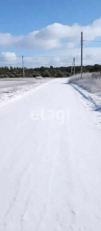 Участок в Новгородская область, Чудовский район, Трегубовское с/пос, ... - Фото 1