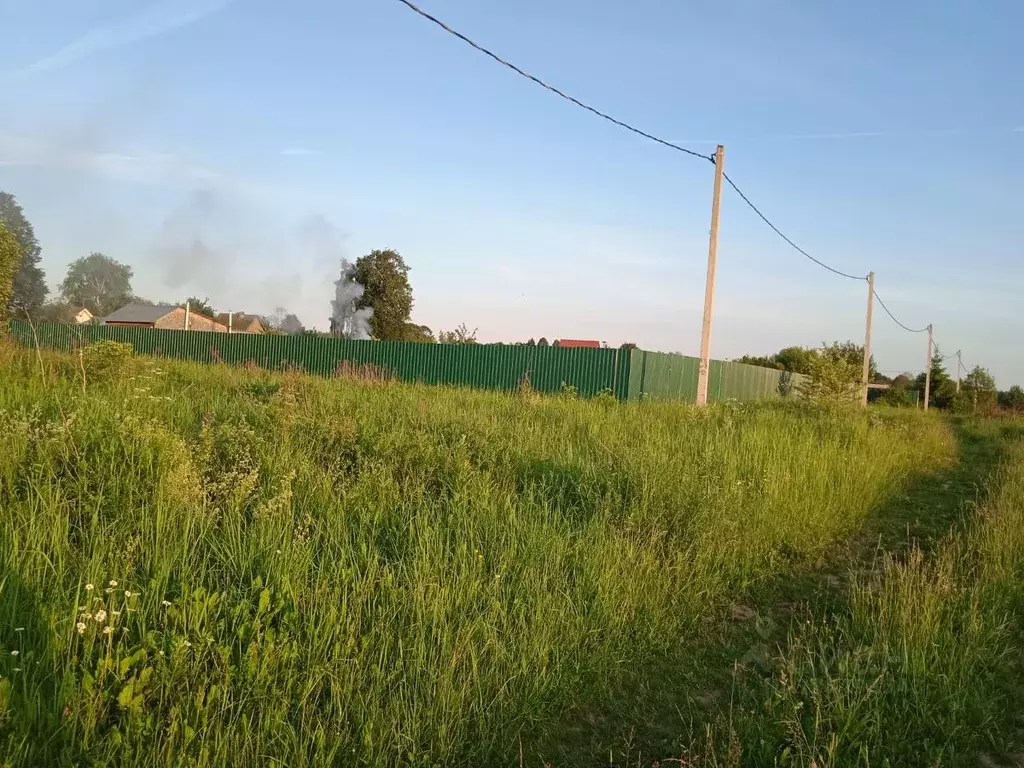 Участок в Московская область, Чехов муниципальный округ, д. Плешкино ... - Фото 2