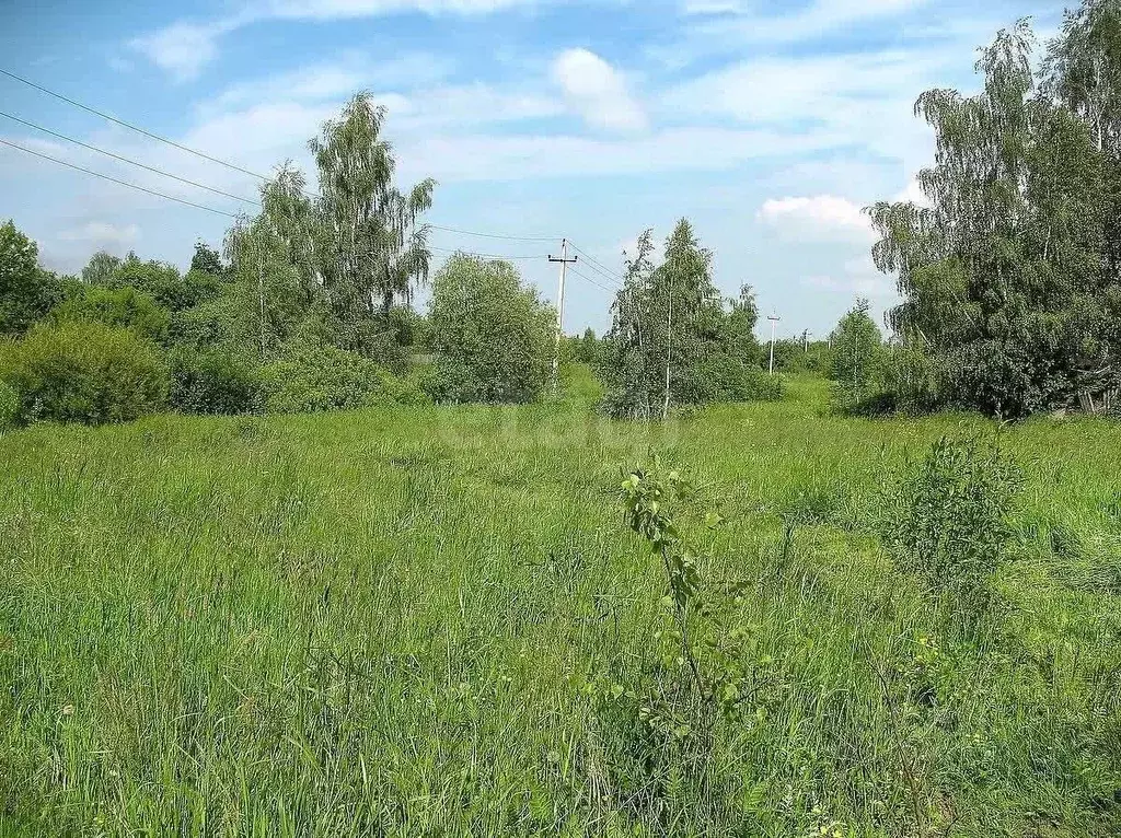 Участок в Тульская область, Щекинский район, Ломинцевское с/пос, д. ... - Фото 1
