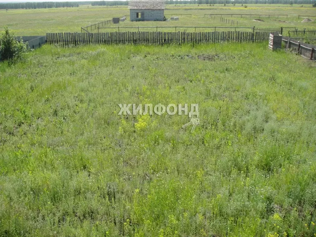 Дом в Новосибирская область, Ордынский район, с. Красный Яр ул. ... - Фото 1