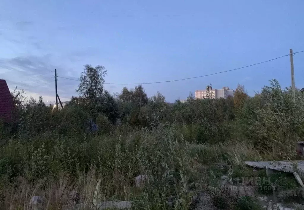 Участок в Мурманская область, Мончегорск Лесная ул. (12.0 сот.) - Фото 2