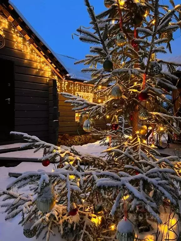 Дом в Карелия, Медвежьегорский муниципальный округ, Пигматка СТ 29 (70 ... - Фото 2