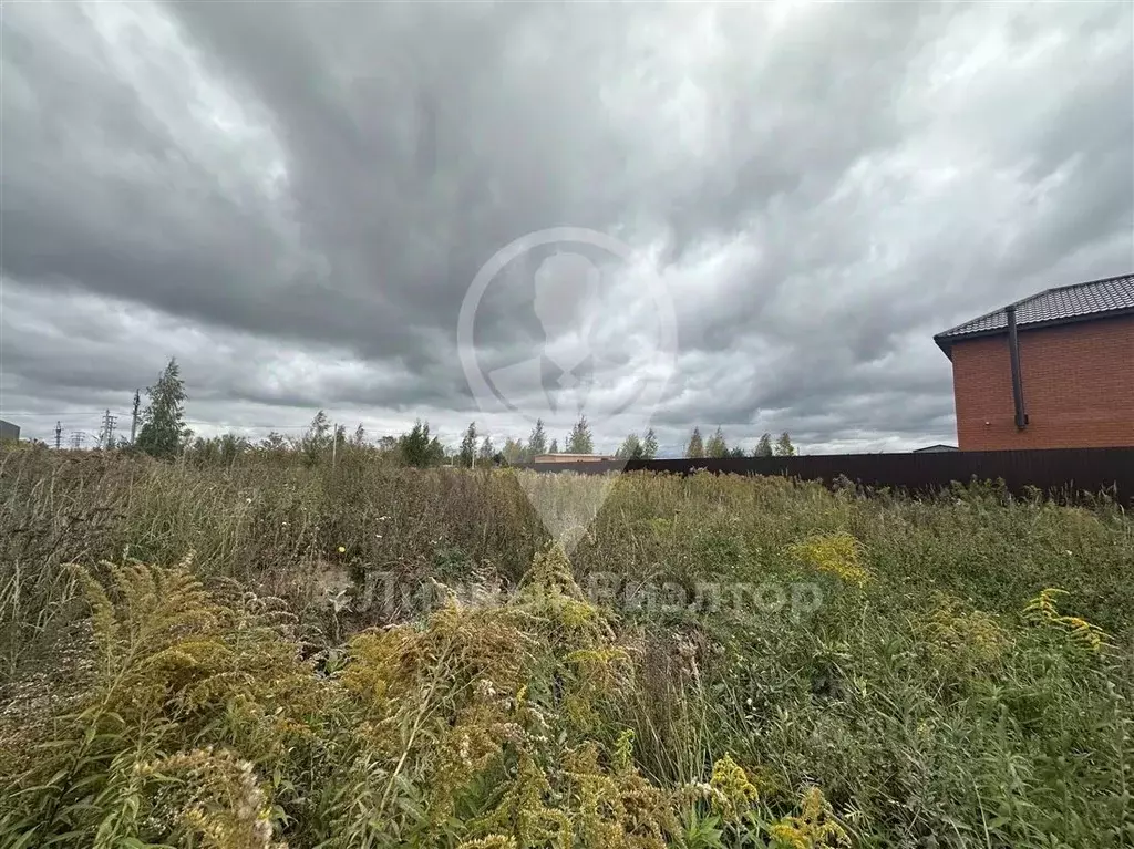 Участок в Рязанская область, Рыбное Почтовая ул. (7.0 сот.) - Фото 1