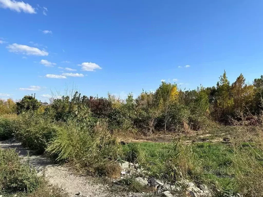 Участок в Ставропольский край, Ставрополь Октябрьское садовое ... - Фото 0