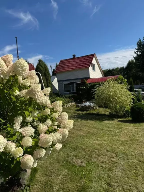 Дом в Калужская область, Перемышльский муниципальный округ, Большие ... - Фото 2