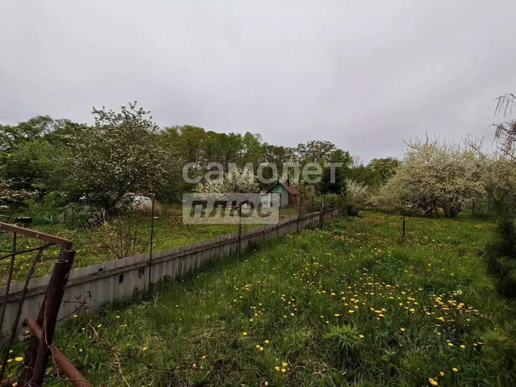 Дом в Приморский край, Фокино ул. Сельская, 6 (30 м) - Фото 1