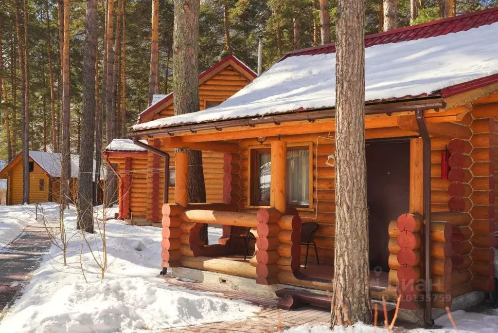 Дом в Алтай, Чемальский район, с. Чепош Спортивный пер., 16 (20 м) - Фото 0