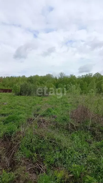 Участок в Московская область, Чехов городской округ, д. Дмитровка  ... - Фото 0