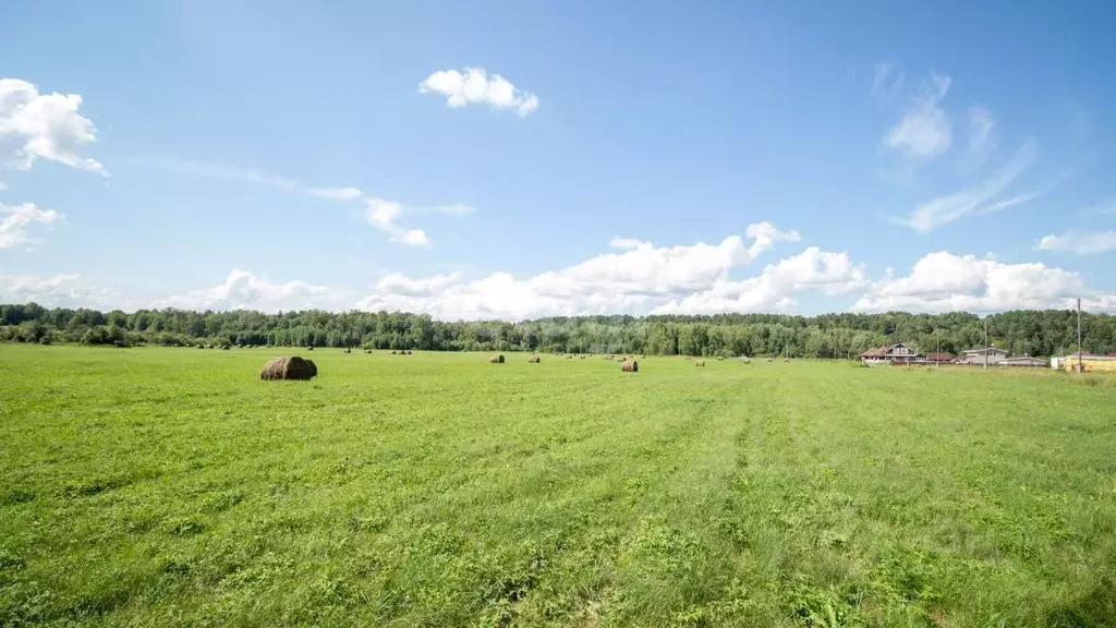 Участок в Томская область, Томский район, Журавли кп  (11.3 сот.) - Фото 2