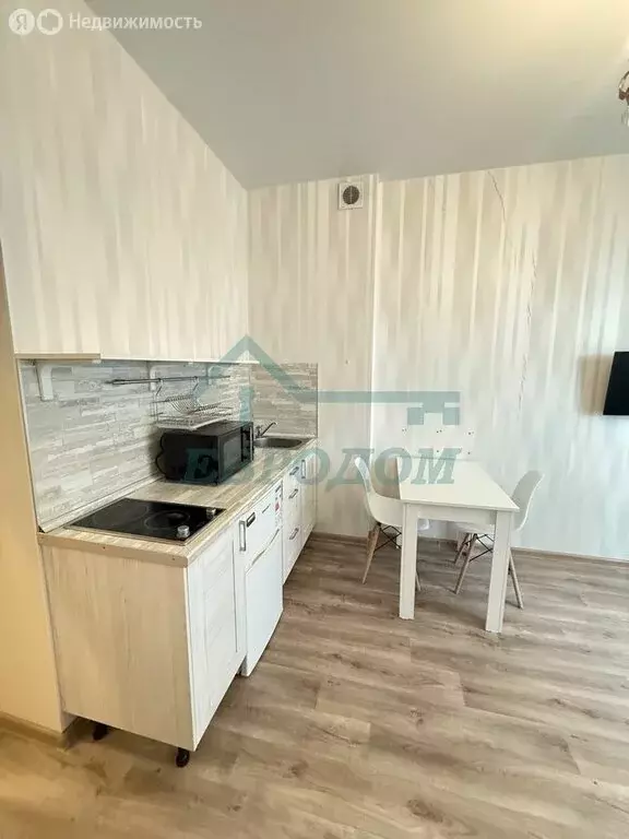 1-комнатная квартира: Новосибирск, улица Сакко и Ванцетти, 77 (24 м) - Фото 2