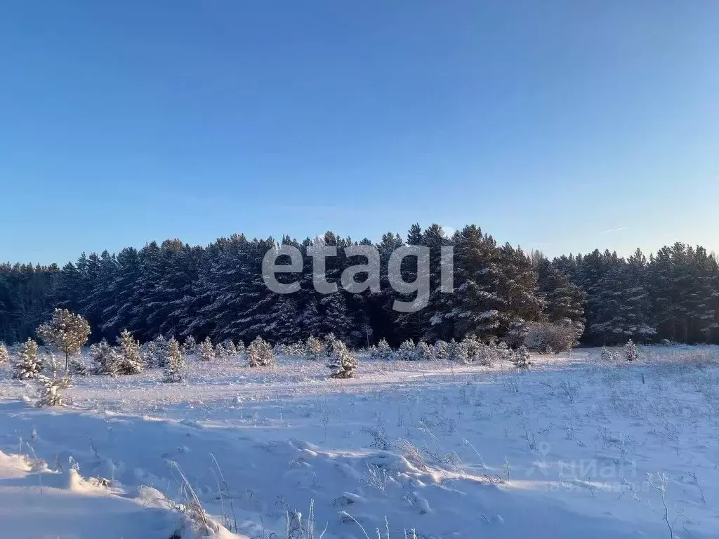 Участок в Красноярский край, Емельяново городское поселение, Гринбург ... - Фото 1