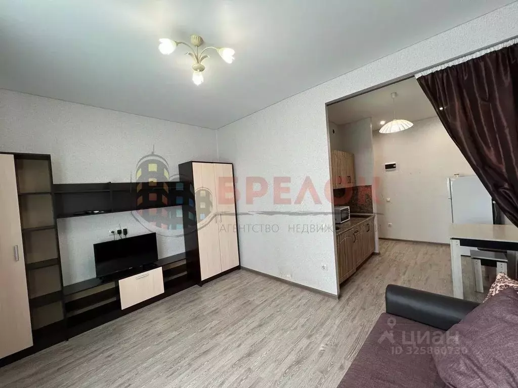 Студия Ростовская область, Ростов-на-Дону ул. Еременко, 92 (28.0 м) - Фото 2