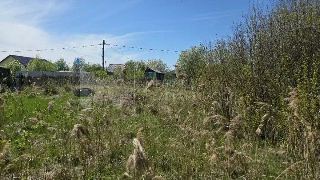 Участок в Тюменская область, Тюмень Рябинка-2 садовое товарищество, ... - Фото 1