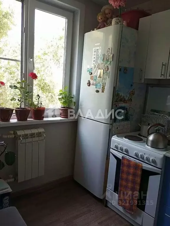 1-к кв. Алтайский край, Бийск Социалистическая ул., 56 (31.0 м) - Фото 1