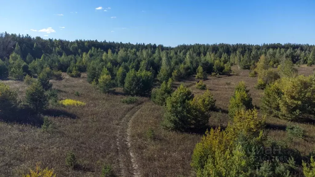Участок в Татарстан, Лаишевский район, Песчано-Ковалинское с/пос, с. ... - Фото 2