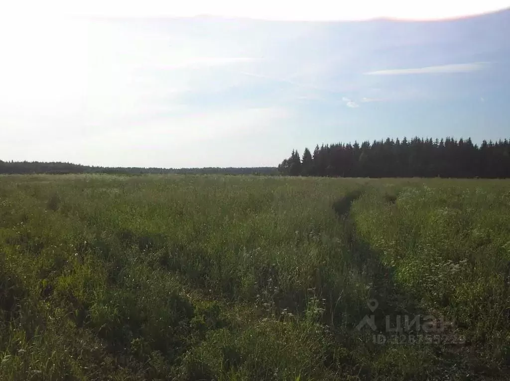 Участок в Тверская область, Калининский муниципальный округ, д. ... - Фото 2