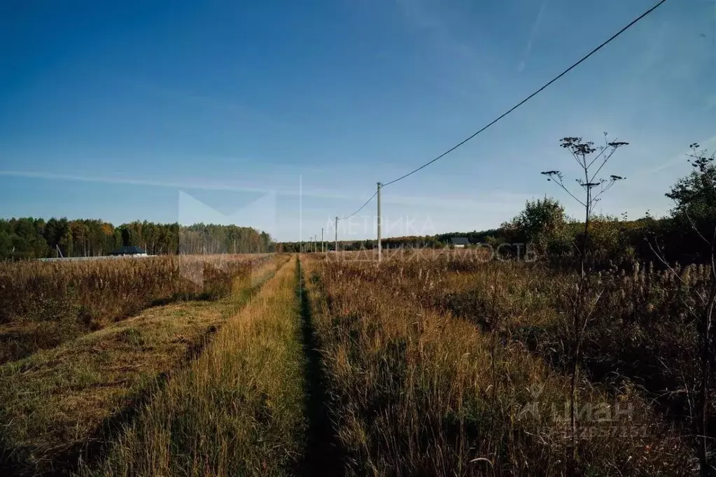 Участок в Тюменская область, Тюменский муниципальный округ, с. Кулига ... - Фото 2