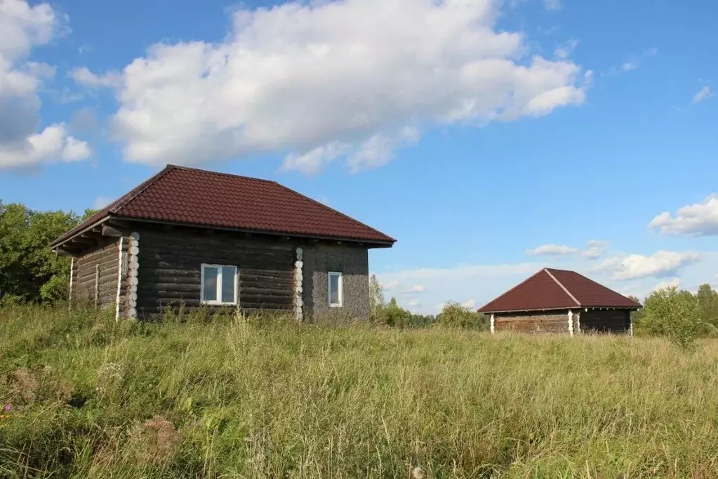 Дом в Тверская область, Западнодвинский район, д. Литвиново  (42 м) - Фото 0