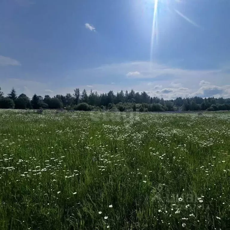 Участок в Пермский край, Добрянский муниципальный округ, с. Висим  ... - Фото 1