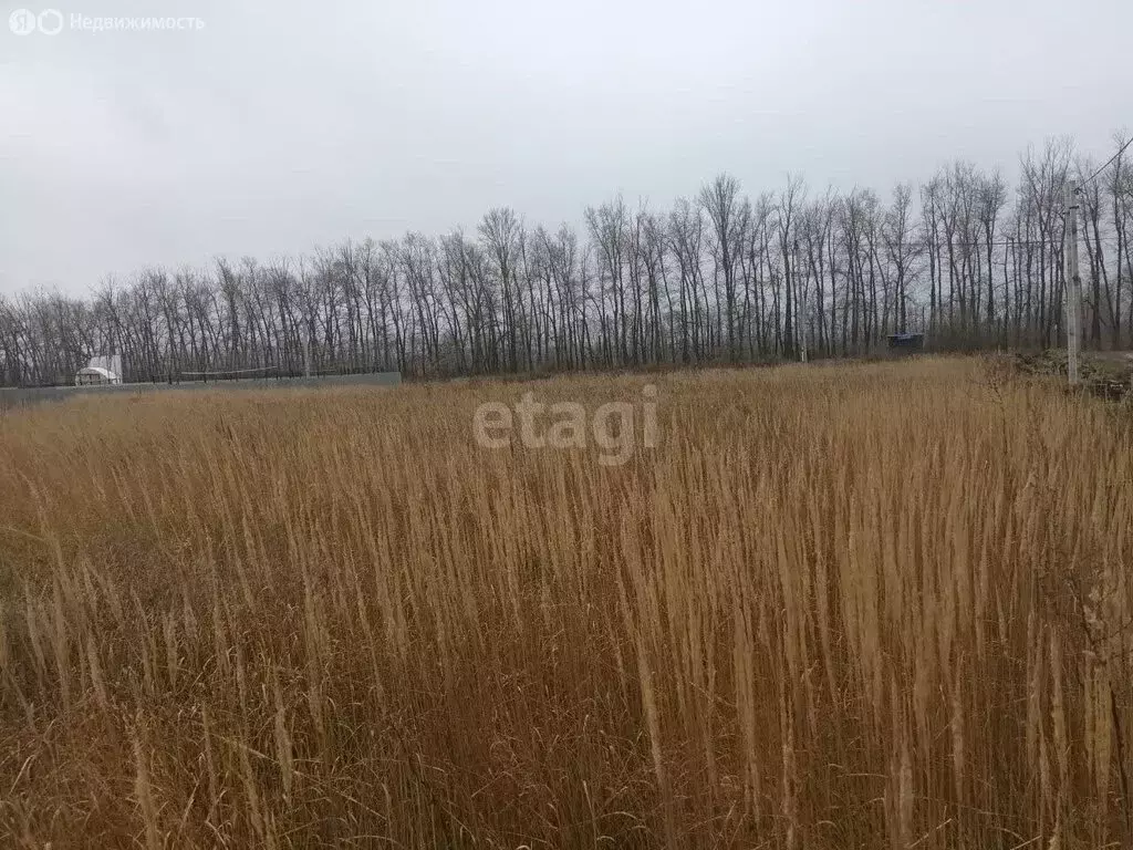 Участок в село Луговое, улица Шамукова (15 м) - Фото 0