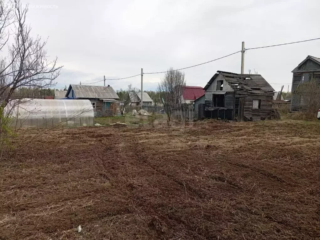 Участок в Байкальск, СНТ Строитель, 7-я улица (5.42 м) - Фото 1