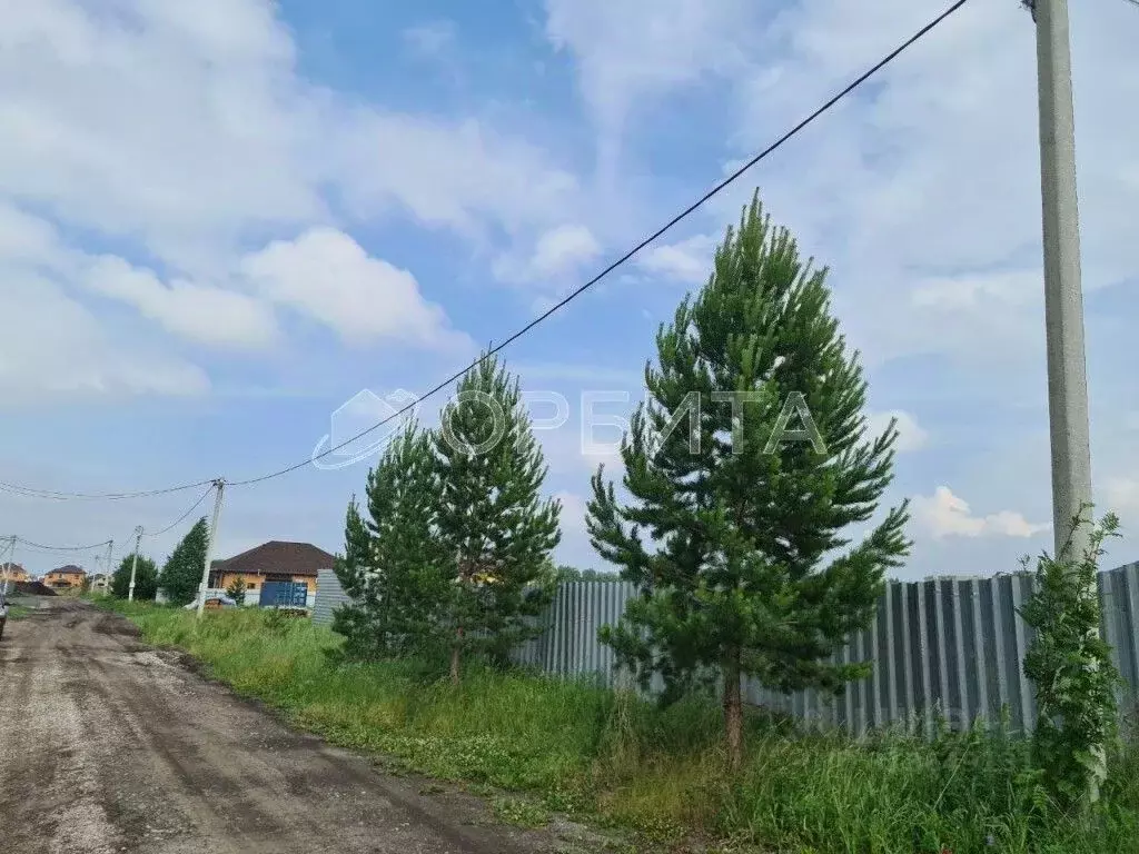 Участок в Тюменская область, Тюмень Ирбитский Тракт 3-й км от ... - Фото 2