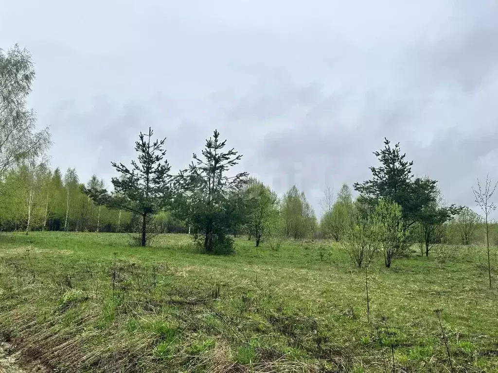 Участок в Ярославская область, Переславль-Залесский муниципальный ... - Фото 0