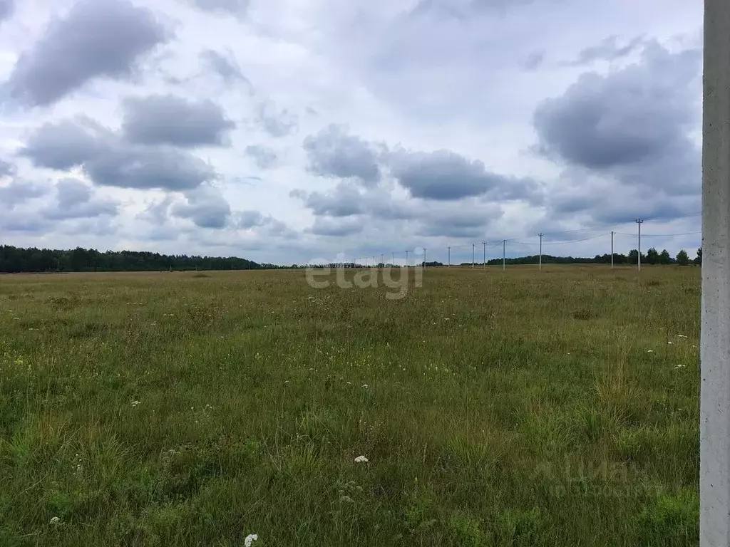 Участок в Алтайский край, Барнаул пл. Имени Акинфия Демидова (10.8 ... - Фото 0