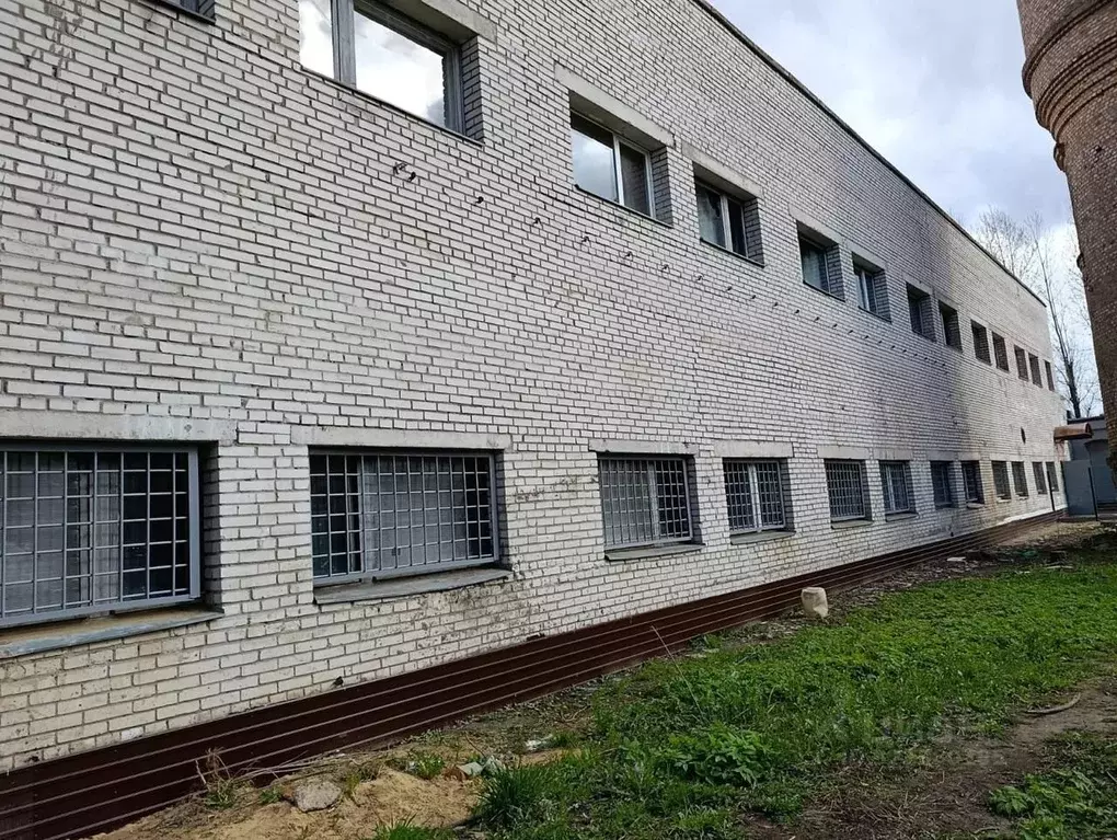 Помещение свободного назначения в Ленинградская область, Всеволожский ... - Фото 1