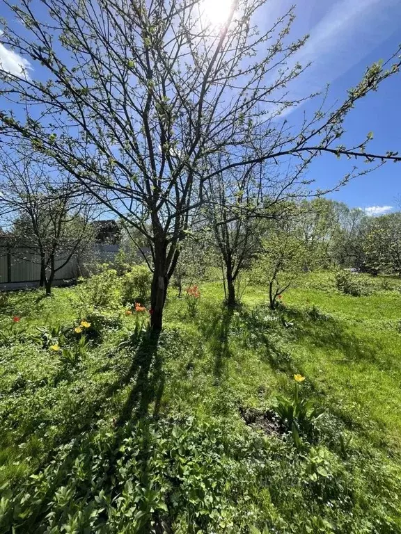 Участок в Московская область, Одинцовский городской округ, с. ... - Фото 2