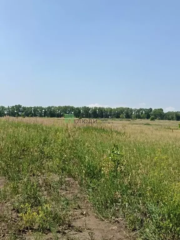 Участок в Красноярский край, Красноярск городской округ, пос. Солонцы  ... - Фото 0