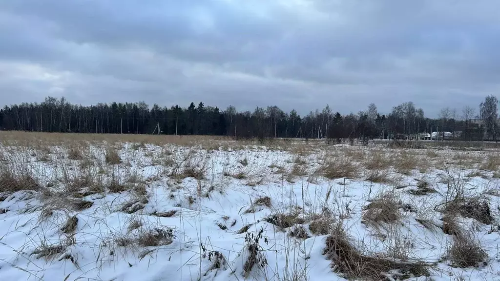 Участок в Московская область, Ступино городской округ, с. Ивановское  ... - Фото 0