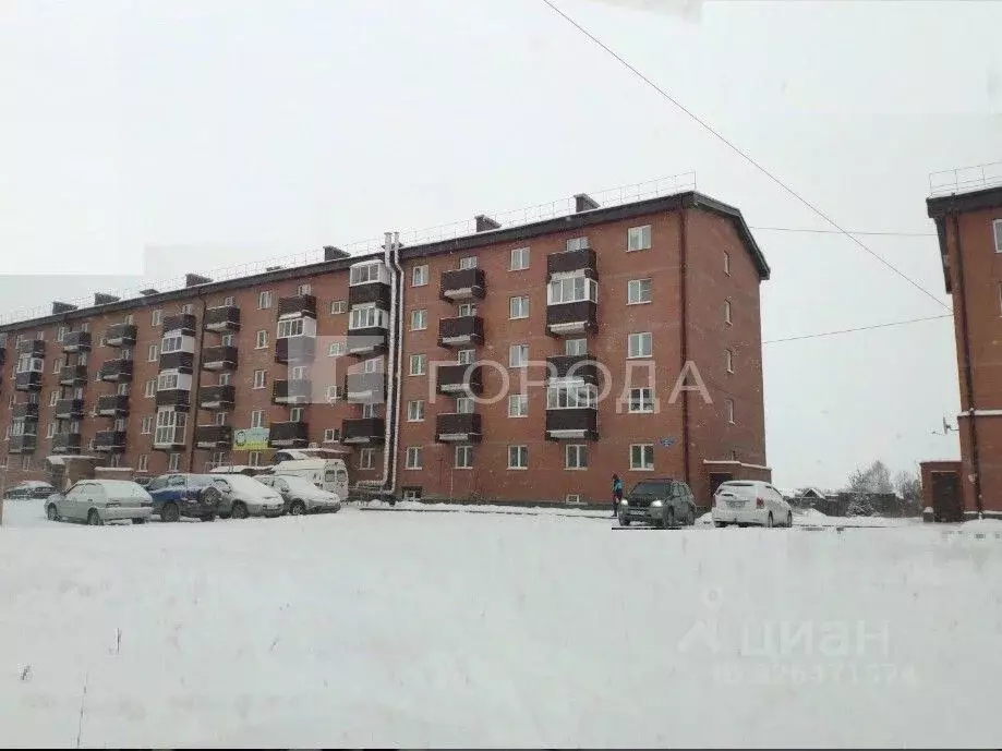 Студия Новосибирская область, Новосибирский район, с. Криводановка, ... - Фото 2