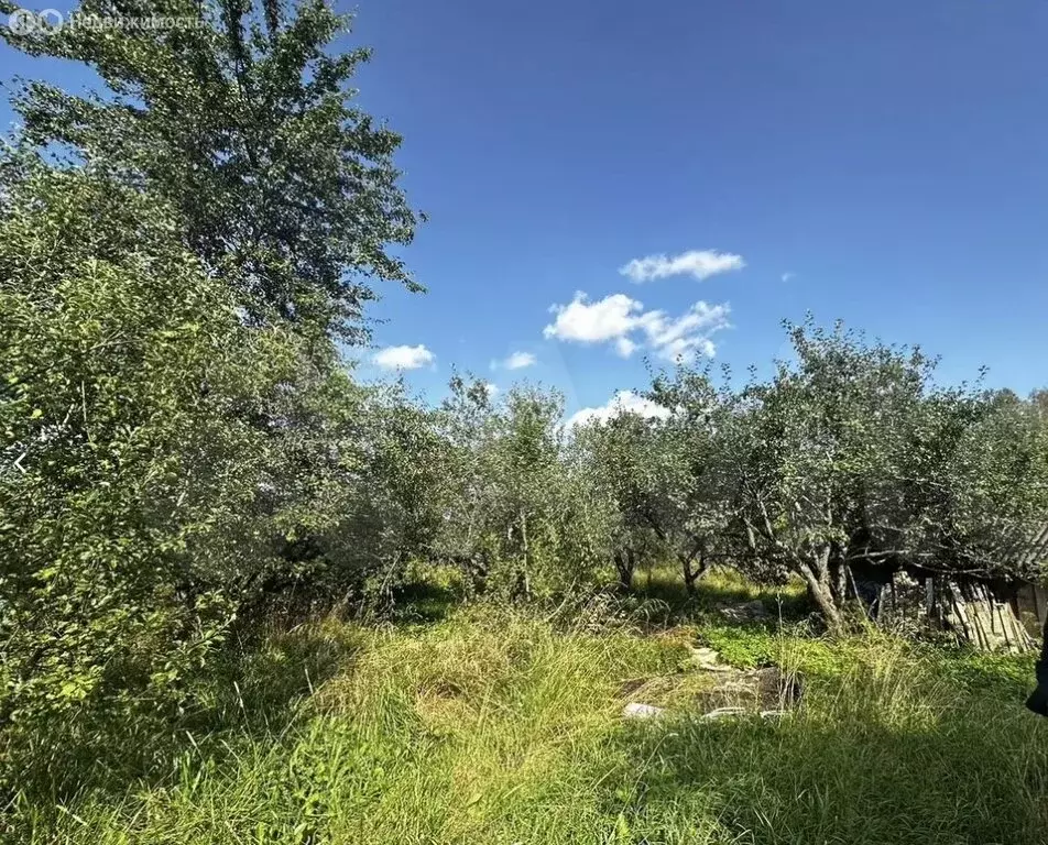Дом в Псковская область, городское поселение Пушкиногорье, деревня ... - Фото 1