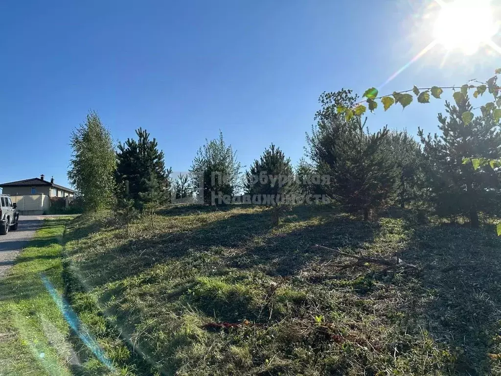 Участок в Ленинградская область, Всеволожский район, Лесколовское ... - Фото 2