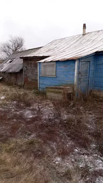 Дом в Нижегородская область, Дивеевский муниципальный округ, с. ... - Фото 1