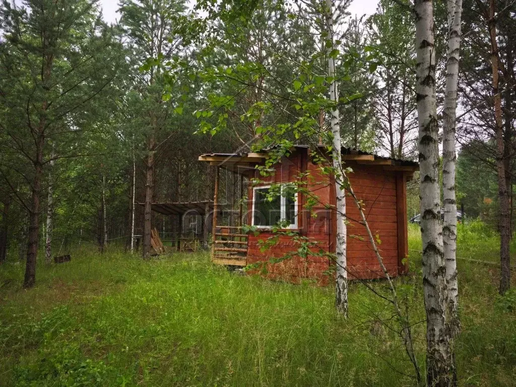 Участок в Красноярский край, Емельяново городское поселение, Сосновый ... - Фото 0