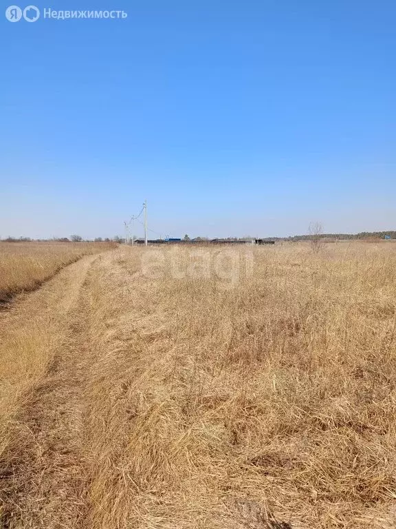 Участок в Амурская область, Благовещенский муниципальный округ, село ... - Фото 0