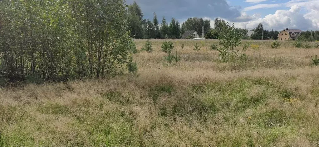 Участок в Московская область, Шатура муниципальный округ, д. Кузнецово ... - Фото 1