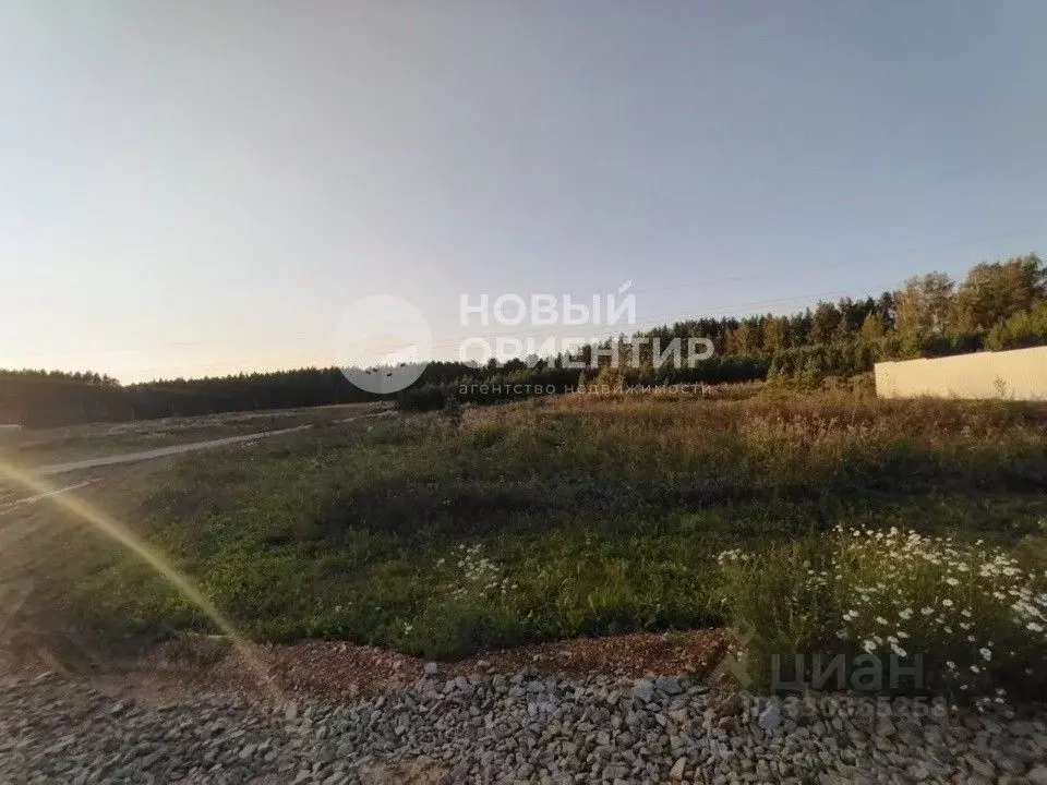Участок в Свердловская область, Сысертский муниципальный округ, СНТ ... - Фото 1