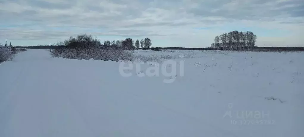 Участок в Новосибирская область, Мошковский район, с. Томилово  (99.91 ... - Фото 1