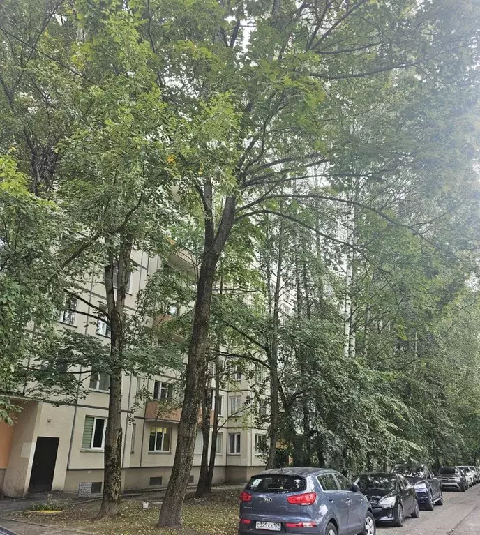 2-к кв. Санкт-Петербург просп. Просвещения, 104 (46.1 м) - Фото 1
